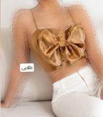 کراپ مجلسی ساتن پاپیونی