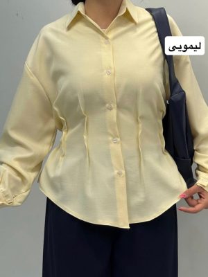 شومیز اندامی 1342