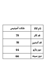 شکت چهارخونه آمیتیس 1191