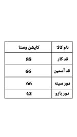 کاپشن کلاه دار وستا 1118