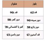 ست بلوز و شلوار مخمل فلامک 469