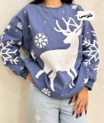دورس برفی 183