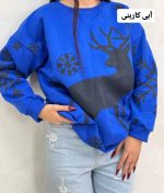 دورس برفی 183