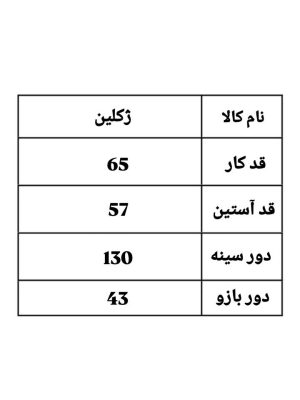 کاپشن کلاه دار ژکلین 1107